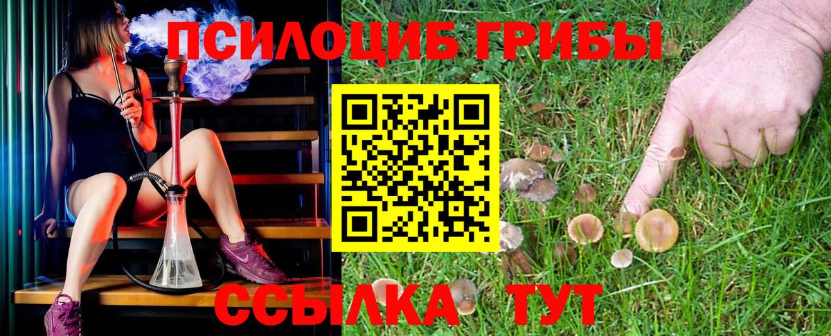 Мирный  Псилоцибиновые грибы Magic Shrooms  Вход с VPN 